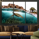 Sea Turtle Wall Art Canvas Print – Framed Ocean Life
