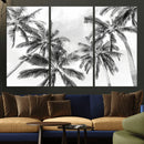 Black and White Palm Wall Art Canvas Print – Framed