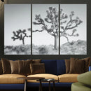 Joshua Tree Wall Art Canvas Print – Framed Black White