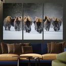 Bison Herd Wall Art Canvas Print, Framed Rustic Wildlife by MyGreatCanvas | Canvas Wall Art Prints | Photo Prints & Wall Decor