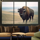 Bison Wall Art Canvas Print – Framed Buffalo American Bison