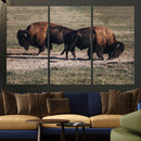 Bison Wall Art Canvas Print – Framed Western Wildlife Modern by MyGreatCanvas | Canvas Wall Art Prints | Photo Prints & Wall Decor