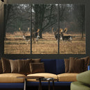 Deer Wall Art Canvas Print – Framed Rustic Wildlife Stags