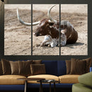 Texas Longhorn Wall Art Canvas Print – Framed Country Living