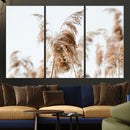 Pampas Grass Wall Art Canvas Print – Framed Neutral Tones