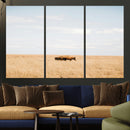 Bison Grassland Wall Art – Framed Minimal Nature Canvas by MyGreatCanvas | Canvas Wall Art Prints | Photo Prints & Wall Decor