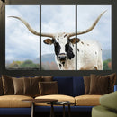 Texas Longhorn Wall Art Canvas Print – Framed Western Rustic