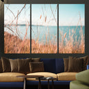 Coastal Grass Landscape Wall Art Canvas Print – Golden