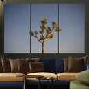 Joshua Tree Wall Art Canvas Print – Framed Southwestern