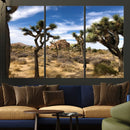 Joshua Tree Desert Wall Art Canvas Print – Framed
