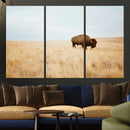 Buffalo Wall Art Canvas Print – Framed Western Wildlife