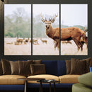 Rustic Deer Wall Art Canvas Print – Forest Woodland Stag