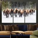 American Bison Herd Wall Art Canvas Print – Powerful Winter by MyGreatCanvas | Canvas Wall Art Prints | Photo Prints & Wall Decor