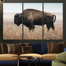 American Bison Wall Art Canvas Print – Majestic Buffalo