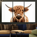 Scottish Highland Cow Canvas Print, Framed Highland Cow
