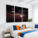William Brice Stadium Wall Art Print – Baseball Game Room