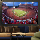 Dooley Stadium Wall Art, Sports Arena Canvas Print, Dooley by MyGreatCanvas | Canvas Wall Art Prints | Photo Prints & Wall Decor