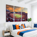 Dooley Stadium Wall Art, Sports Arena Canvas Print, Dooley