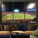 Dooley Stadium Wall Art, Sports Arena Panoramic Canvas by MyGreatCanvas | Canvas Wall Art Prints | Photo Prints & Wall Decor
