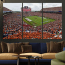 Jordan-Hare Stadium Wall Art Canvas Print, College Sports by MyGreatCanvas | Canvas Wall Art Prints | Photo Prints & Wall Decor