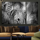Wild Old Elephant Wall Art Canvas Print