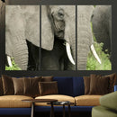 Wild Elephant Wall Art Canvas Print by MyGreatCanvas | Canvas Wall Art Prints | Photo Prints & Wall Decor