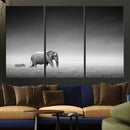 Elephand and Zebra Wall Art Canvas Print, Modern Artwork