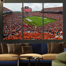 Auburn Stadium Wall Art Canvas Print, Jordan Hare Stadium by MyGreatCanvas | Canvas Wall Art Prints | Photo Prints & Wall Decor