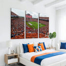Auburn Stadium Wall Art Canvas Print, Jordan Hare Stadium