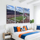 Georgia Bulldogs Stadium Wall Art Canvas Print, Sanford