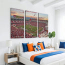 Donald W. Reynolds Razorback Stadium Wall Art Canvas Print –