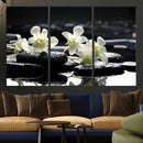 Plumeria Frangipani Black Stone Canvas | White Flower Spa by MyGreatCanvas | Canvas Wall Art Prints | Photo Prints & Wall Decor