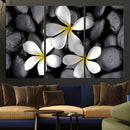 Plumeria Frangipani Black Stone Canvas | White Flower Spa by MyGreatCanvas | Canvas Wall Art Prints | Photo Prints & Wall Decor
