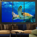 Sea Turtle Wall Art Canvas Print, Sea life in the Ocean Wall
