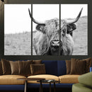 Newfoundland Cow Art Wall Art, Black White Cow Art Wall Art