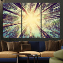 Tree and Sunshine Canvas Print