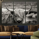 Cow Focus Canvas Wall Art Print by MyGreatCanvas | Canvas Wall Art Prints | Photo Prints & Wall Decor