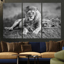 King Forest Lion Wall Art Canvas Print – Framed Majestic by MyGreatCanvas | Canvas Wall Art Prints | Photo Prints & Wall Decor