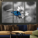 Blue Butterfly Black and White Canvas Wall Art by MyGreatCanvas | Canvas Wall Art Prints | Photo Prints & Wall Decor