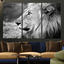 Lion Wall Art Canvas Print – Framed Majestic Wildlife by MyGreatCanvas | Canvas Wall Art Prints | Photo Prints & Wall Decor