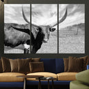 Cattle Wall Art Longhorn Cow Canvas Print