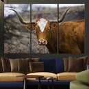 Texas Longhorn Canvas Wall Art - Longhorn Steer Canvas Wall by MyGreatCanvas | Canvas Wall Art Prints | Photo Prints & Wall Decor