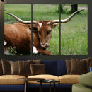 Longhorn Cow Animal Wall Art Canvas Print by MyGreatCanvas | Canvas Wall Art Prints | Photo Prints & Wall Decor
