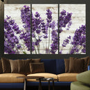 Lavender Herb Wall Art Canvas Print by MyGreatCanvas | Canvas Wall Art Prints | Photo Prints & Wall Decor