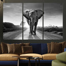 Black and White Elephant Wall Art Canvas Print