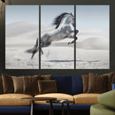Prancing Horse Desert Large Wall Art Canvas Print – Majestic