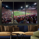 Mississippi State Bulldogs Stadium Wall Art Canvas Print –