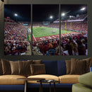 Washington-Grizzly Stadium Canvas Print, American Football