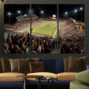 Washington-Grizzly Stadium Canvas Wall Art – Exciting Game