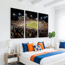 Washington-Grizzly Stadium Canvas Wall Art – Exciting Game